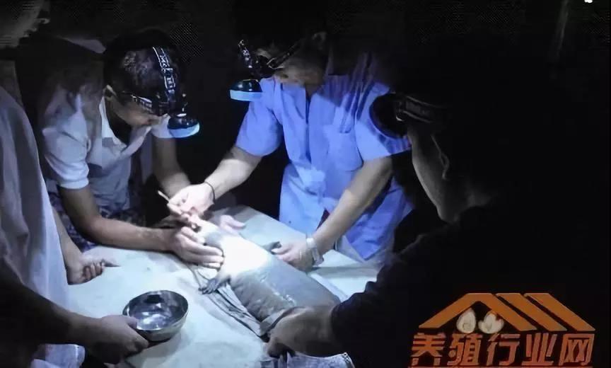 15350779851858.jpg 資本試水區(qū)塊鏈生物科技01.jpg