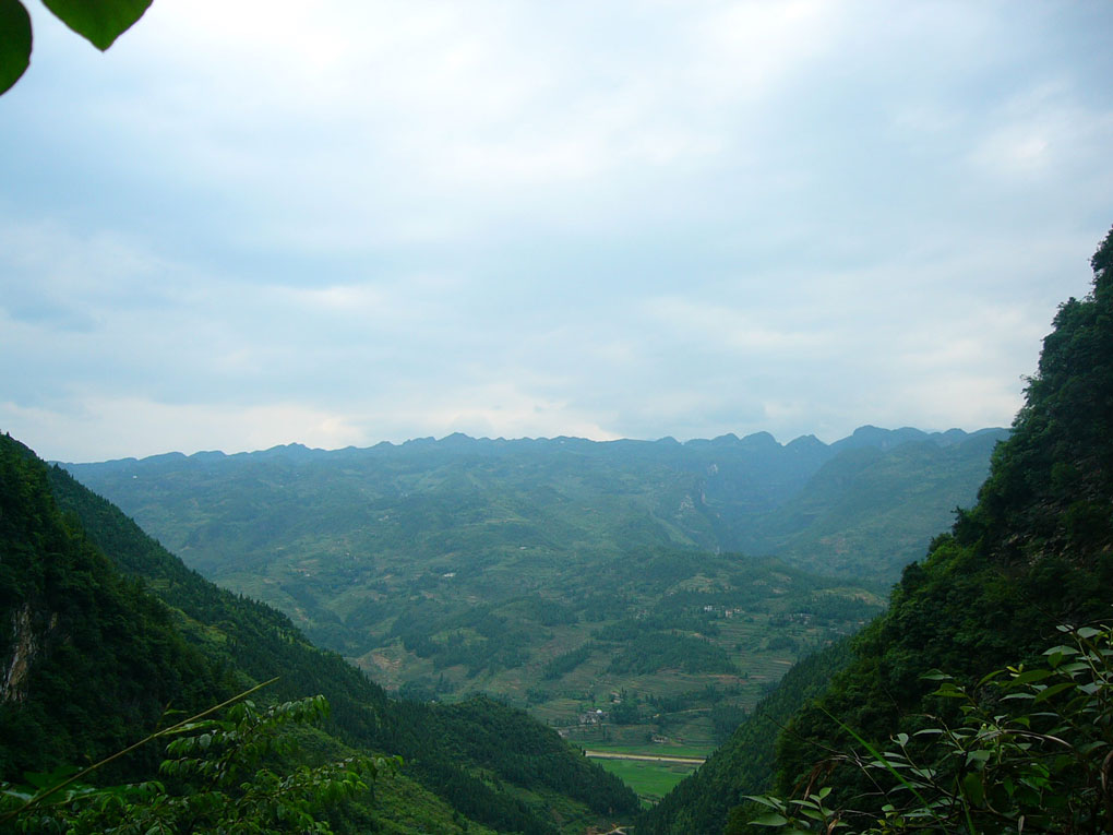 15407792472757.jpg P1200771.jpg