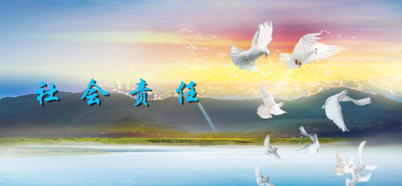 15421741398995.jpg 社會責(zé)任1.jpg