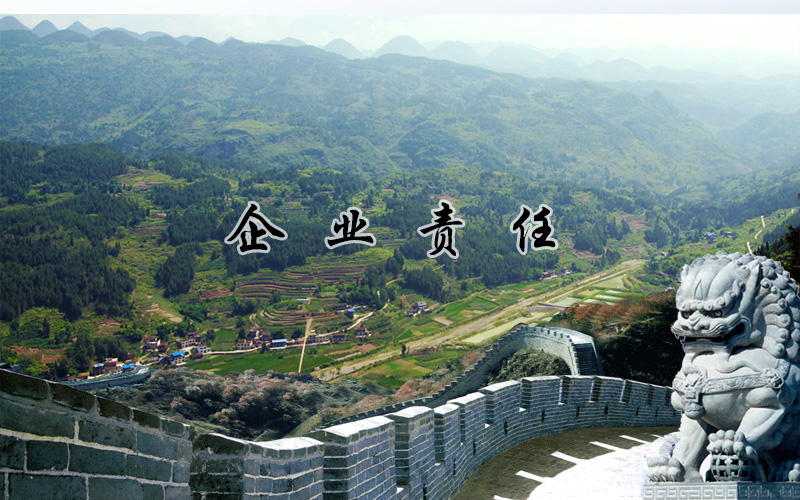 15421746071651.jpg 企業(yè)責(zé)任1.jpg