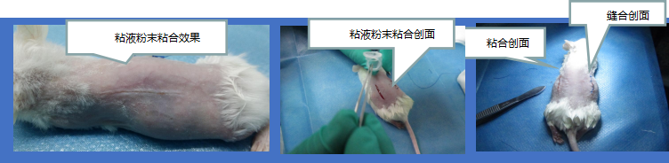 15426950976701.png 圖片1.png