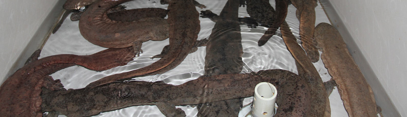 15427849537705.jpg 圖片2.jpg